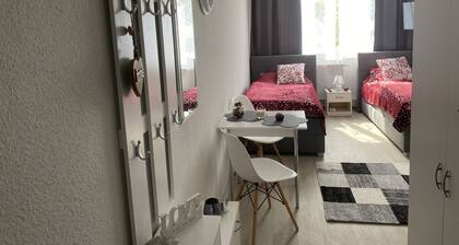 Business Apartment Mainz Duo