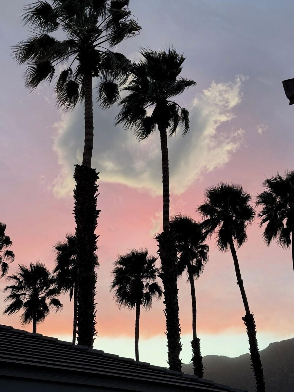 Værtens profilbillede