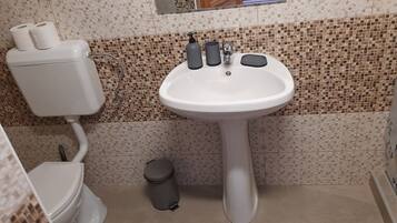 Shower, towels, soap, toilet paper