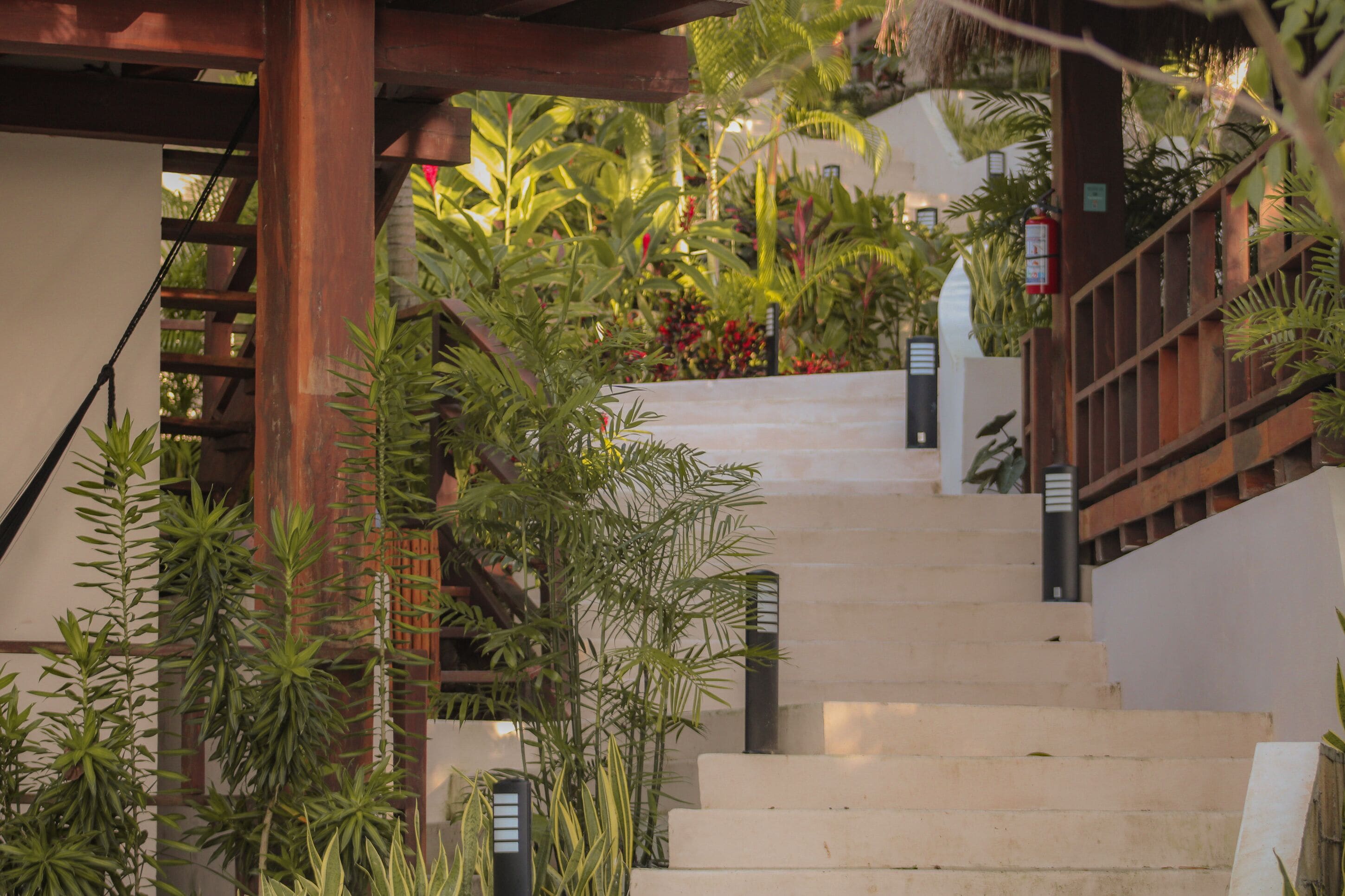 A staircase with a wooden railing, surrounded by lush green plants and flowers.