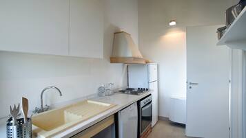 Fridge, oven, dishwasher, cookware/dishes/utensils