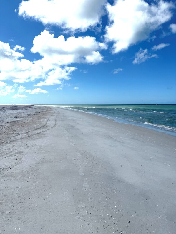 在海滩、沙滩椅、沙滩毛巾