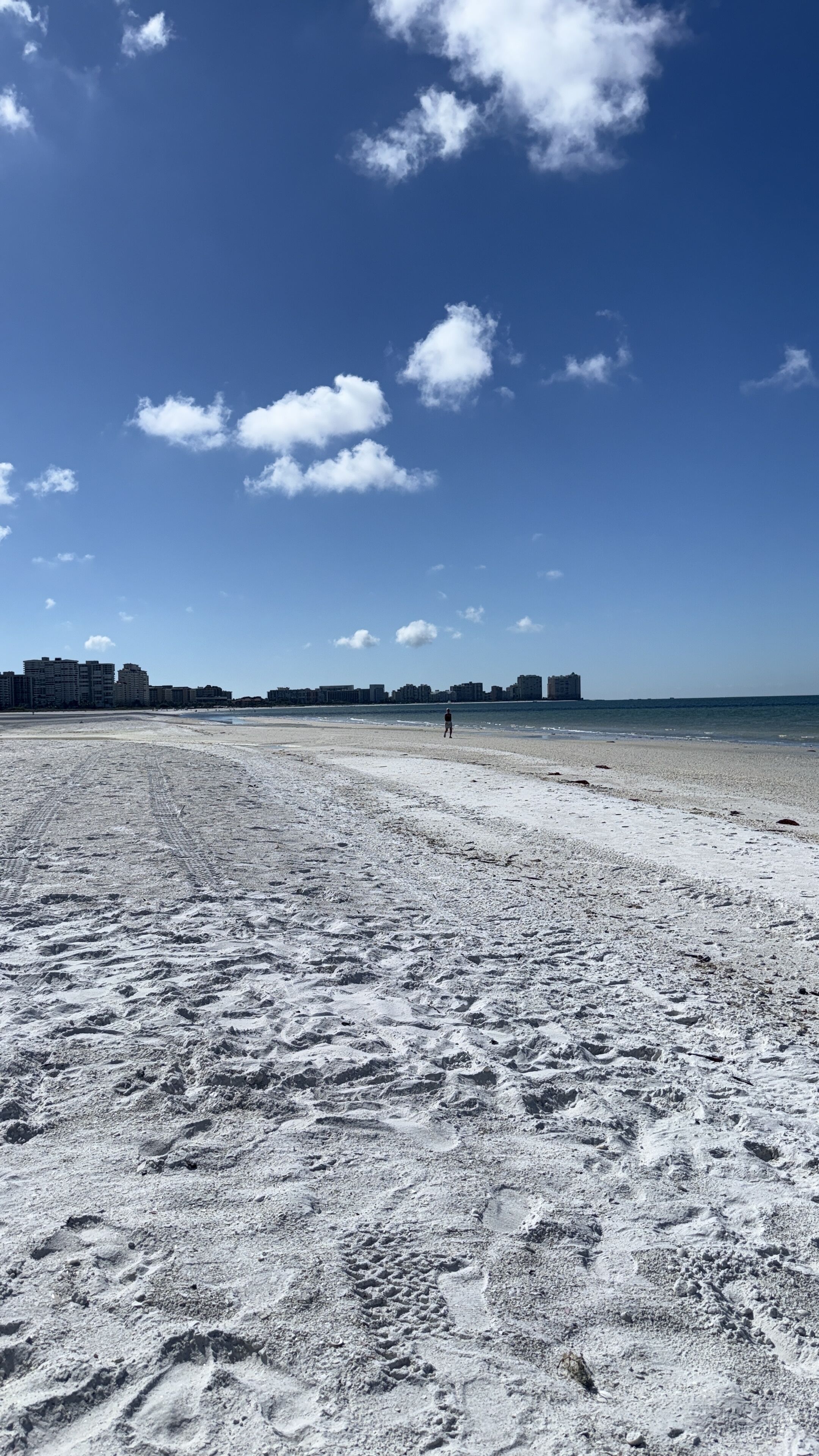 Plage, chaises longues, serviettes de plage