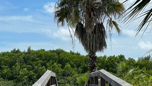 A wooden boardwalk leading to a palm tree. - Beach Front Condo in Paradise Marco Island (Marco Island)
