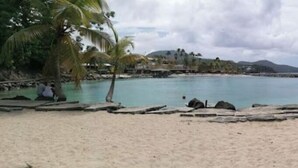 A beach with clear water, palm trees, and a rocky shoreline. - Studio Terrace sea view (Les Trois-Îlets)
