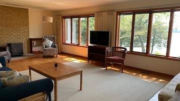 Smart TV, fireplace, books