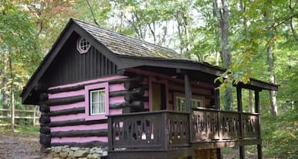 Spring Lake Farm Rustic log cabin on 16-acre private lake