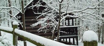 Spring Lake Farm Rustic log cabin on 16-acre private lake