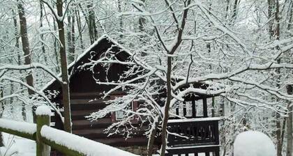 Spring Lake Farm Rustic log cabin on 16-acre private lake