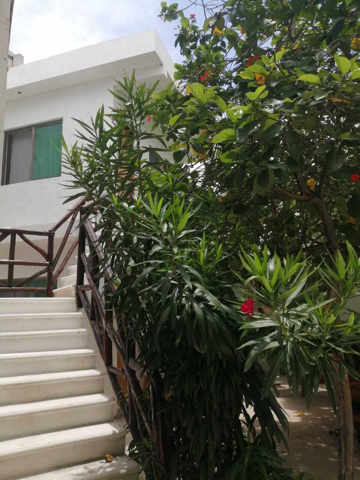 Photo - Posada Yalekin Holbox