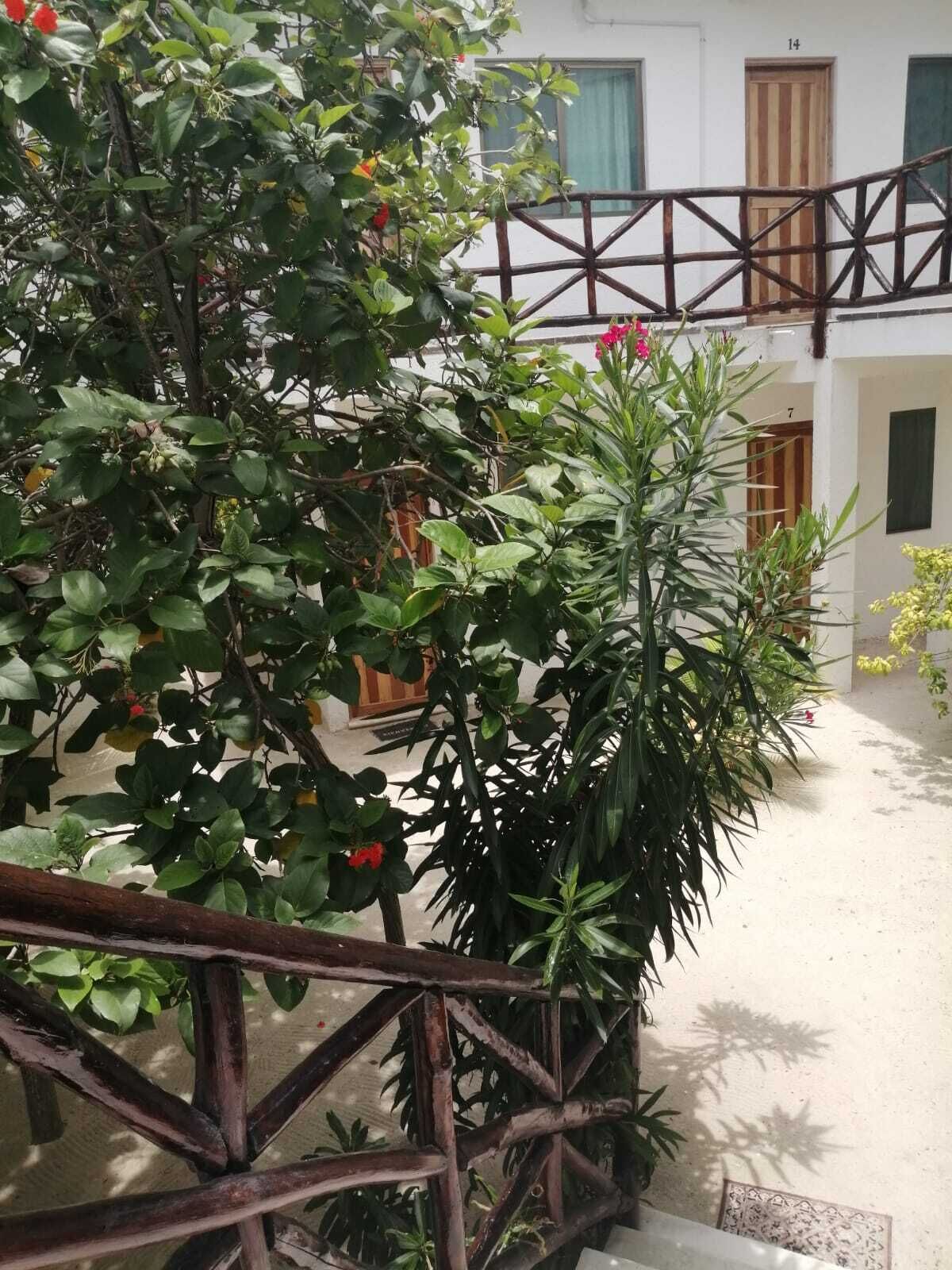 Photo - Posada Yalekin Holbox