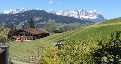 Lodge Pengelstein - (ski-in/out)