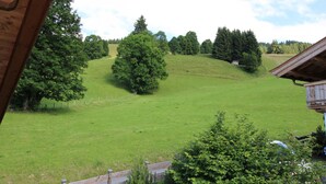 Une vue d’un champ verdoyant, avec des arbres et une structure en bois au premier plan.