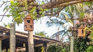 A hammock under a wooden pergola in a garden with a rustic wooden structure and lush greenery in the background. - EcoCharme Pousada Netuno (Fernando de Noronha)