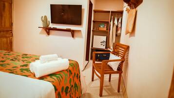 A hotel room with a bed, a wooden chair, a television, a wardrobe, and a cactus decoration.