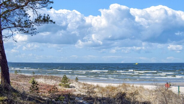 A beach with waves, a boat, and a tree. - 4 bedroom awesome home in Kobylnica (Kobylnica)