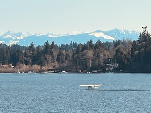 Miscellaneous - Views of Lake Washington and Mt. Rainier- North Seattle Area. Superb Location! (Lake Forest Park)