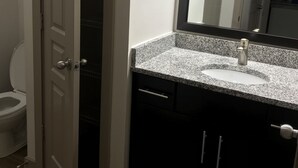 A bathroom with a white toilet, a sink with a granite countertop, and a mirror above the sink. - One Bedroom Peachtree Atlanta GA (Dunwoody)