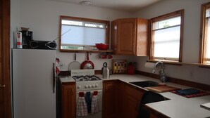 Una cocina compacta con estufa a gas, un lavabo y armarios de madera.