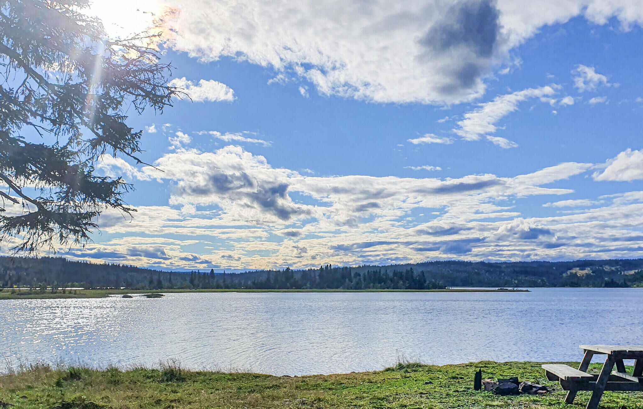Udsigt over en sø med en bænk og et picnicbord, omgivet af træer og en klar himmel.