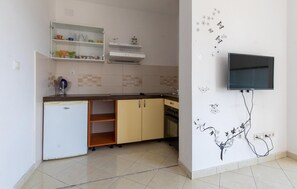 Fridge, oven, stovetop, cookware/dishes/utensils