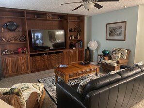 Smart TV, DVD player, books, video library