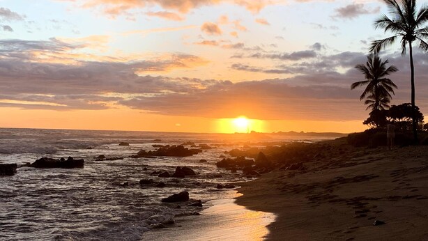 A beach with a sunset, palm trees, and rocky shoreline. - Beautiful home in Kailua-Kona with easy access to all the Island. (KAILUA KONA)