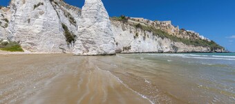Bungalow with pool and barbecue