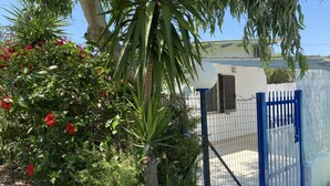 Un'area recintata con un edificio bianco, una palma e fiori rossi.