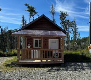 Exterior - Kenai River access! Cute little cabin with a loft (Soldotna)