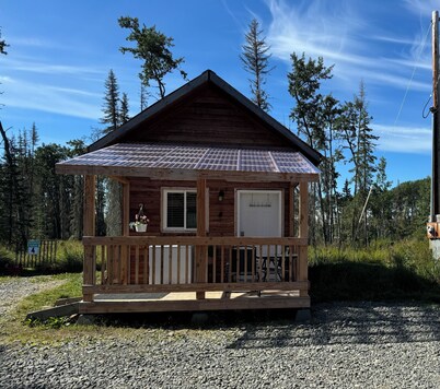 Kenai River access! Cute little cabin with a loft