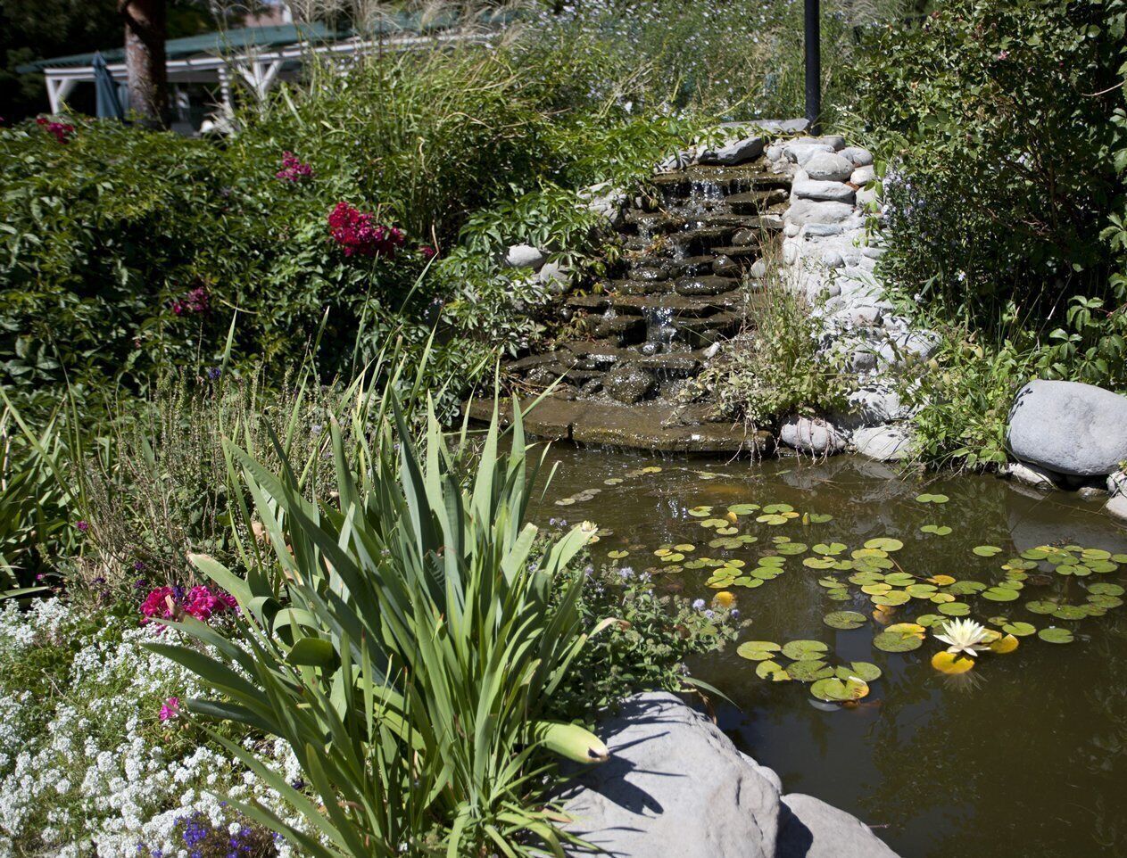 Enceinte de l’hébergement
