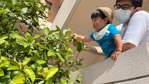 A person leaning on a balcony railing, overlooking a building with a textured wall and a green plant. - Minpaku Arin Kurin (Haebaru)