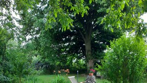 Un jardin avec une chaise en bois, une structure en pierre et diverses plantes.