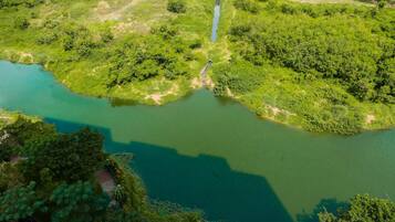 An aerial view of a river with dense greenery on both sides.