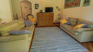 Un salon avec deux canapés à motifs, une commode en bois, un téléviseur et un tapis.