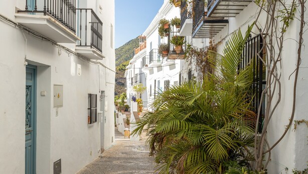 A narrow street with white buildings, a blue door, and potted plants. - Cottage "Casa Loli" with Mountain View, Private Pool & Terrace (Frigiliana)