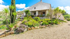 Une maison dotée d’un patio, entourée d’un jardin où poussent différentes espèces de plantes, sous un ciel bleu et dégagé.