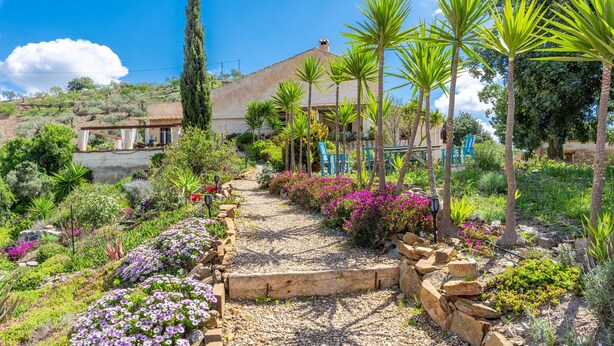 A garden pathway leading to a house with a pergola, surrounded by various plants and trees.