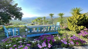 Un banc offrant une vue sur un paysage montagneux.