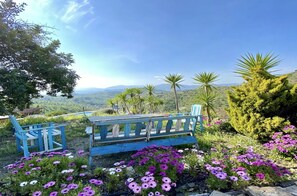 Property grounds - Apartment "Finca Las Nuevas Casa Maria" with Mountain View, Pool, Jacuzzi, Wi-Fi, Terrace & Garden (Alora)