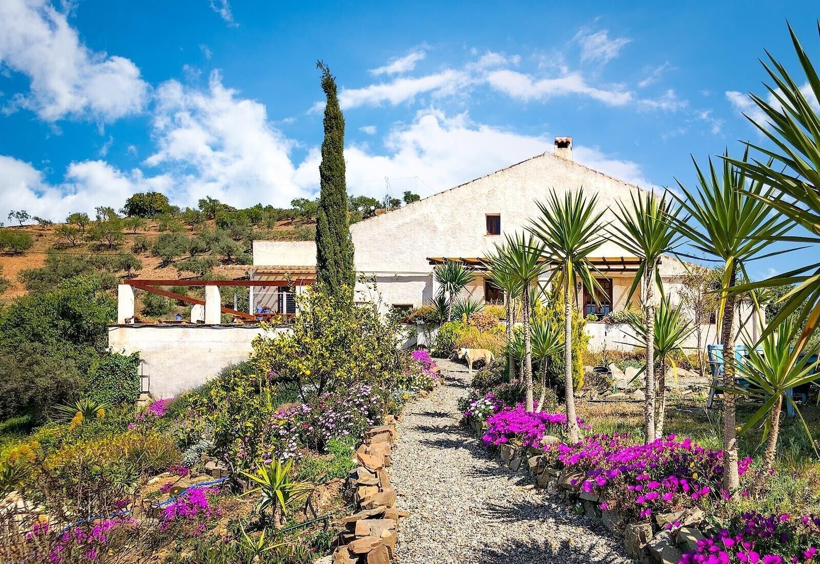 Áreas de la propiedad