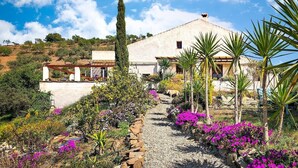 Une maison avec un chemin de jardin menant à l’entrée, entourée de différentes plantes et fleurs.