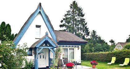House - House Christine Brown Wieck / Darß