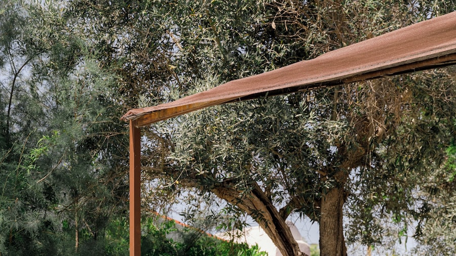 São Brás do Regedouro - Turismo de Aldeia