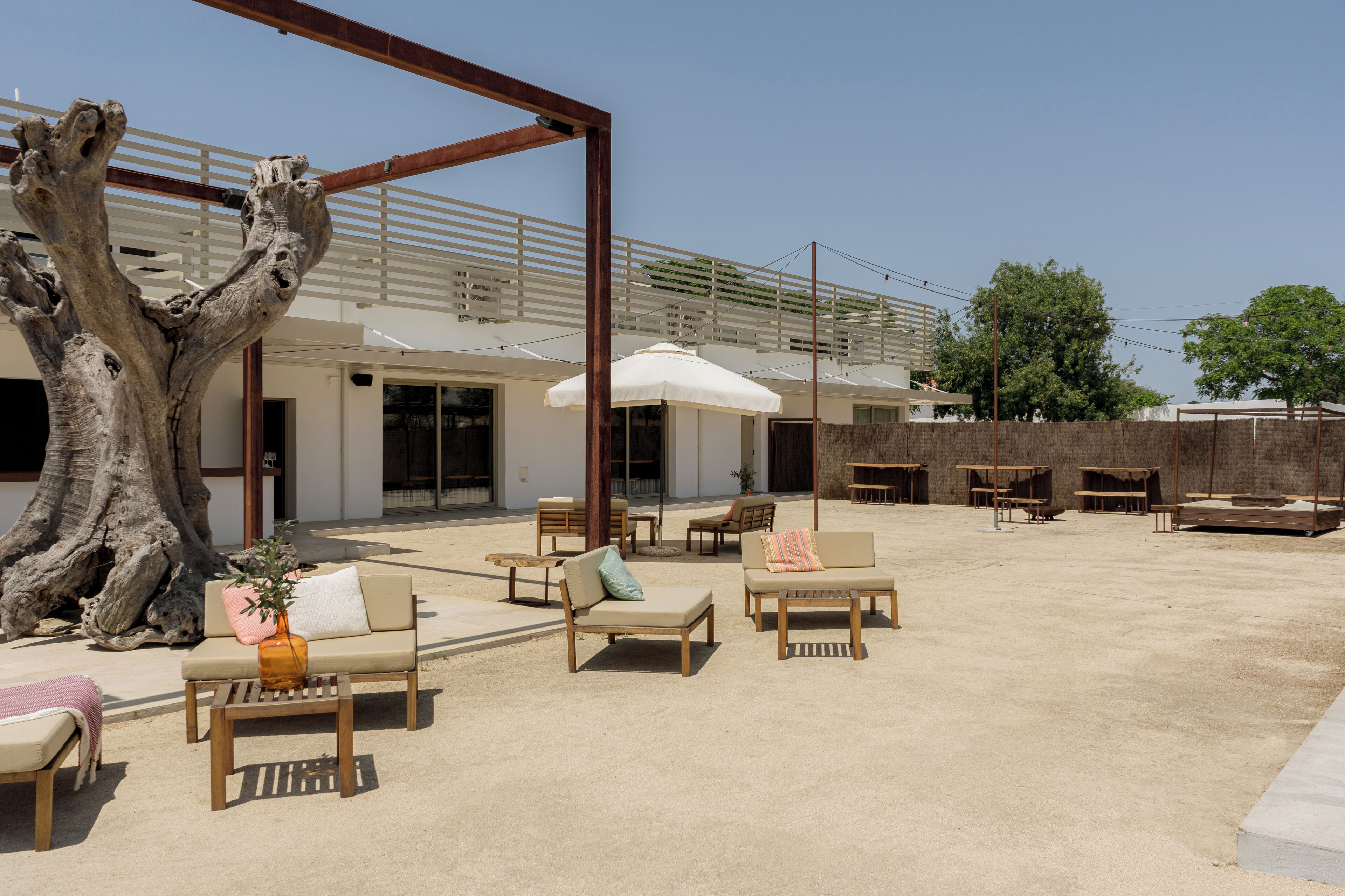 An outdoor seating area with wooden furniture, a large tree, and a modern building in the background.