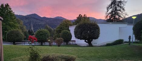 A residential area with a well-maintained lawn, a variety of trees, and a white building in the background.