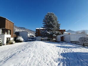 Ein Wohngebiet mit schneebedecktem Boden, modernen Gebäuden und einer großen Nadelbaumart.