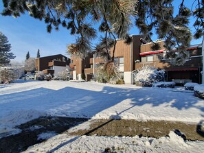 Un quartier résidentiel avec des bâtiments modernes, un sol enneigé et des arbres.