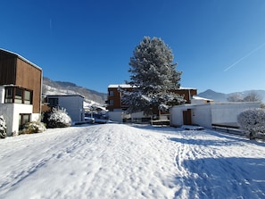 Un quartier résidentiel où le sol est recouvert de neige, avec des bâtiments modernes et un grand arbre à feuilles persistantes.